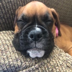 Meet your Posher, Lyssa